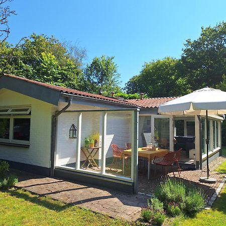 Vakantiehuis La Petite Redousse Renesse Exteriör bild