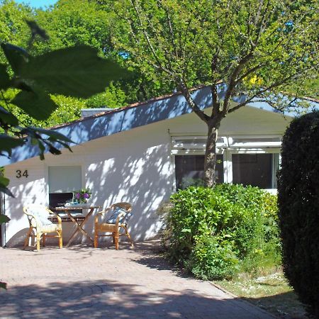 Vakantiehuis La Petite Redousse Renesse Exteriör bild