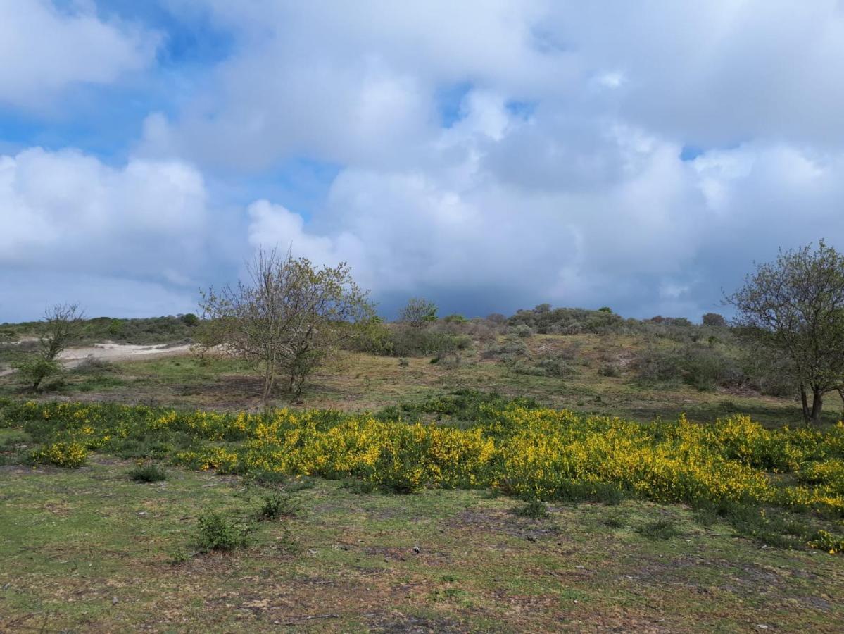Vakantiehuis La Petite Redousse Renesse Exteriör bild