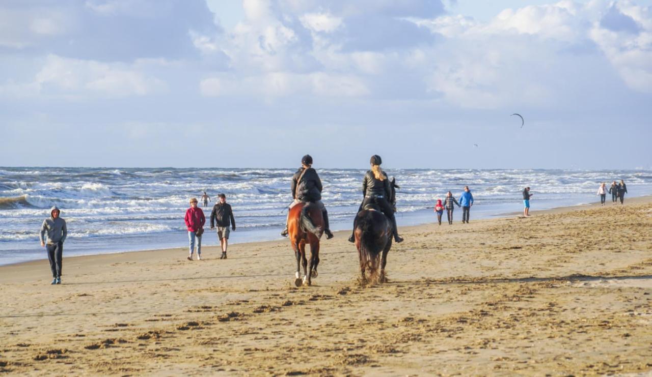 Vakantiehuis La Petite Redousse Renesse Exteriör bild