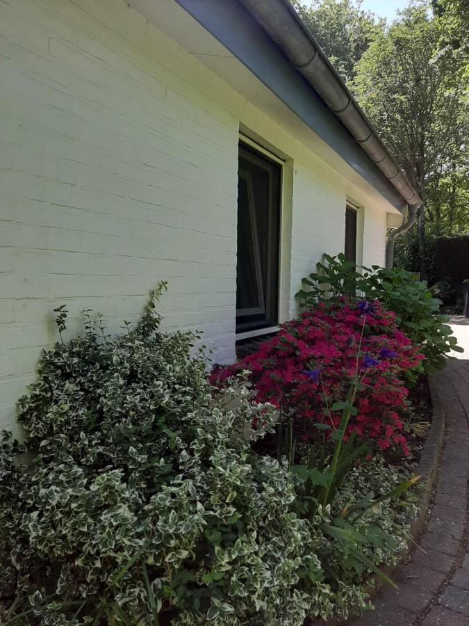 Vakantiehuis La Petite Redousse Renesse Exteriör bild